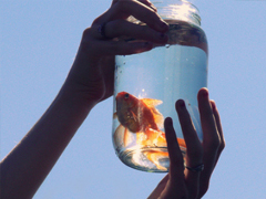 充满正能量的英文句子带翻译 抖音最火励志英文句子合集