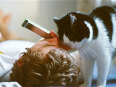 一些国外小说影视电影中的经典英文句子精选