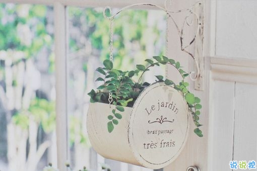 只想说给你听的小情话带图片 你笑时雷声温柔暴雨无声8