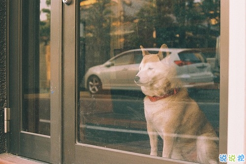 励志说说致自己的短语2018配图 很励志的正能量经典说说8