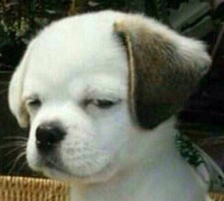 笑死人的说说加图片：老师说我是搅屎棍，那么我同学是什么？1