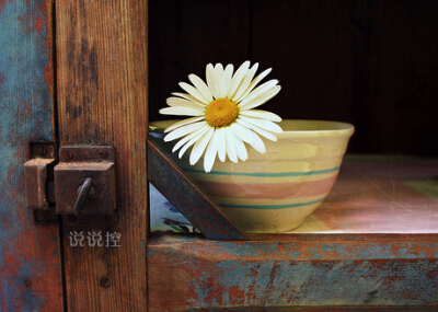 好听的英文说说带图片，有图片的英文说说心情短语2