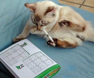 文字控说说带图片2 文字控说说带图片2