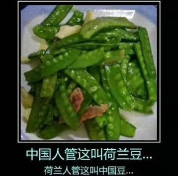 QQ逗比说说带图片4 QQ逗比说说带图片4