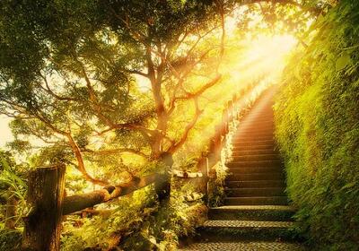 励志的说说带图片，励志的句子图片6