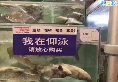 QQ搞笑说说带图片，空间搞笑说说带图片6