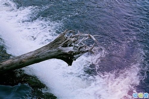 我们一路走来都很坚强的励志说说带图片 很正能量的经典励志说说14