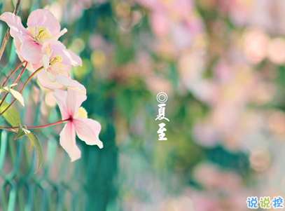 2019夏至说说短语带图片 夏至qq空间唯美说说大全9
