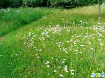 适合假期发的日常句子带图片 2019暑假放假的个性说说短语5