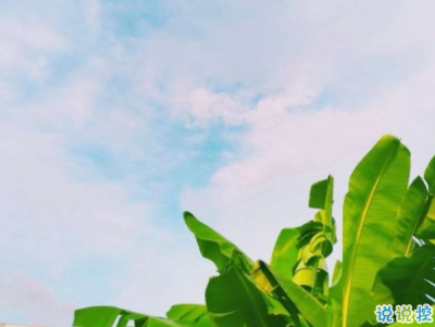 适合假期发的日常句子带图片 2019暑假放假的个性说说短语2