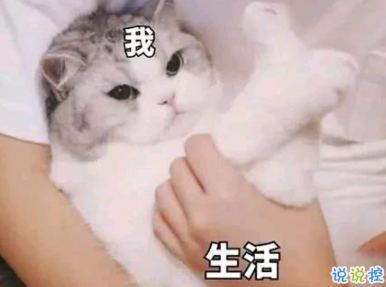 超级皮的句子搞笑可爱 乐开怀的搞笑说说大全1