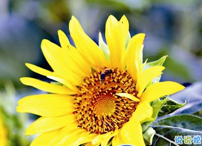 九月你好励志说说 2019九月抖音励志说说心情2