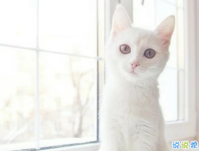 抖音沙雕语录带图片 搞笑心灵毒鸡汤配图9