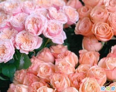 四月励志短句致自己 2020四月加油朋友圈说说1