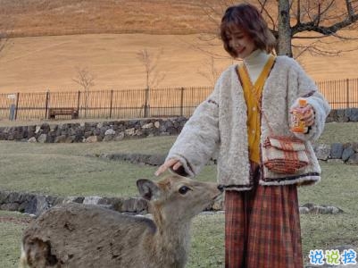 唯美文艺说说简短带图片 别错过落日与夕阳13