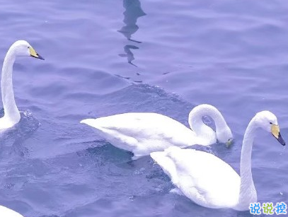 官宣恋爱的说说配图 官宣句子简短创意13