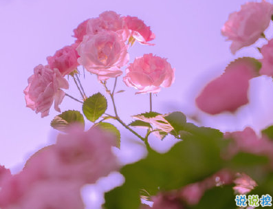 官宣恋爱的说说配图 官宣句子简短创意7