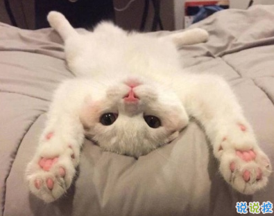 调皮搞怪的说说超短搞笑 明天再喜欢你吧我今天真的太困了1