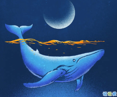 30条温柔的情话句子合集 见过这么多猪还是你最可爱2