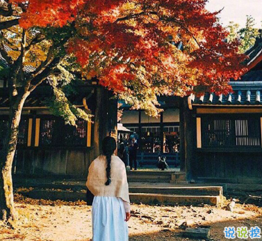 最新秋季唯美诗意文艺个性说说 可以去追逐星星但做自己的太阳 ​​​​1