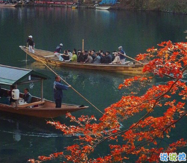 最新秋季唯美诗意文艺个性说说 可以去追逐星星但做自己的太阳 ​​​​2