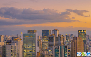 备忘录那些经典内涵宝藏句子 披荆斩棘丢失怒马鲜衣2