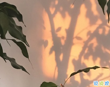 30句总能惊艳到你的句子 从人群中仓皇逃走2