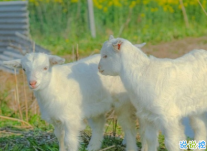 放在心头的个性心情说话 心一旦离开就再不会回来1