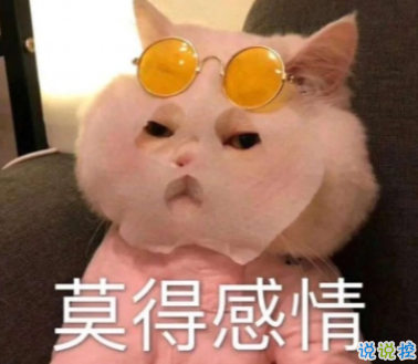 这些可爱又有趣的文案 我以为你回我信息犯法呢1