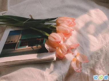 朋友圈恋爱纪念日文案 想继续和你看星空6