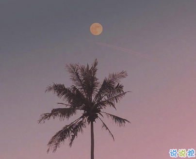 最走心的经典句子句句精辟2021 喜欢什么就要付出努力去争取2