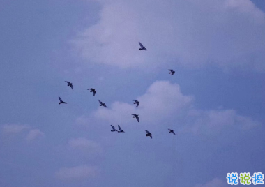 很搞笑的朋友圈的好句子 人生得意须尽欢1