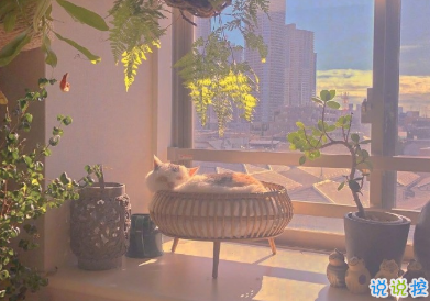 2021发朋友圈的可爱小短句 看看蓝天拥抱大海享受阳光1