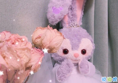 2021发朋友圈的可爱小短句 看看蓝天拥抱大海享受阳光2