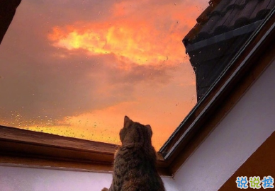 2021有点丧的发朋友圈小句子 适合深夜发的小句子5