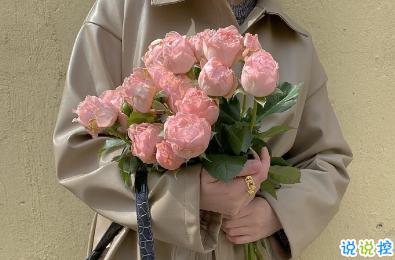 2020霜降节气有趣问候语 祝你美丽心情亮1