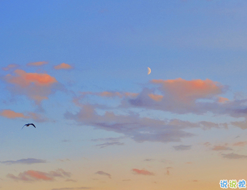 11月精选网易云扎心的文案说说 伤到心碎的朋友圈说说2