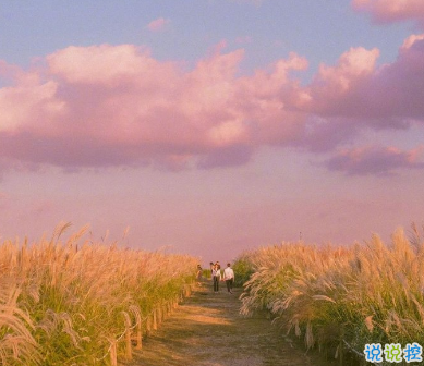 一眼就喜欢上的表白情话 给对象表白感动暖心情话1