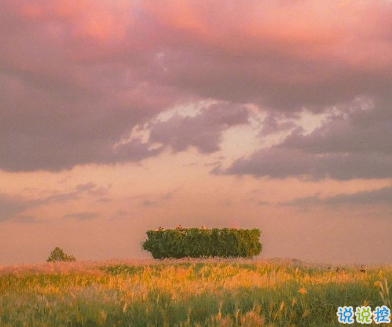 一眼就喜欢上的表白情话 给对象表白感动暖心情话2