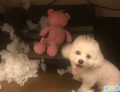 吴青峰绝美歌词干净舒心文案 超级舒心温柔的文案2