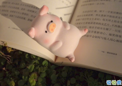 向往大海简短治愈朋友圈文案 描写大海的惊艳文案1