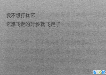 不易察觉的安慰朋友的暖心文案 如何不明显去安慰朋友2