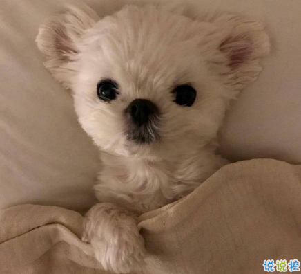 三观很正值得被珍藏起来的温柔句子 双向的奔赴才有意我不说我等你来1