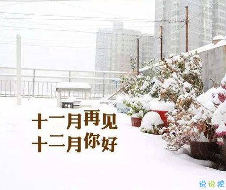 2020十二月来临的惊艳文艺句子 长安十二月月月风花雪2