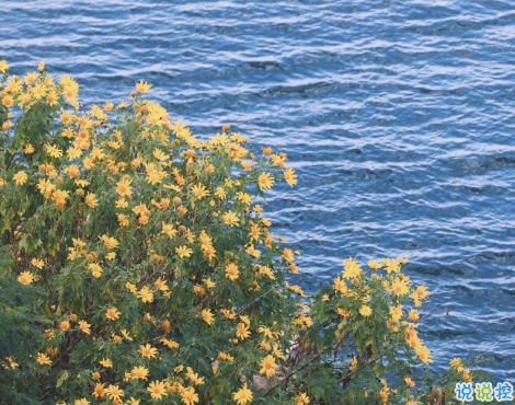 揭穿人生真相的经典句子 值得深思的精辟语录12