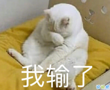 40句笑死人沙雕又可爱发朋友圈文案 2021最新的朋友圈沙雕文案2