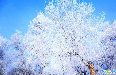 公务员发公文写作首段佳句大全 写作常用词句大全2