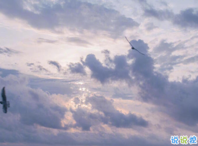 很高级很有质感的思恋文案带图片 高级表达自己思恋对方的句子1