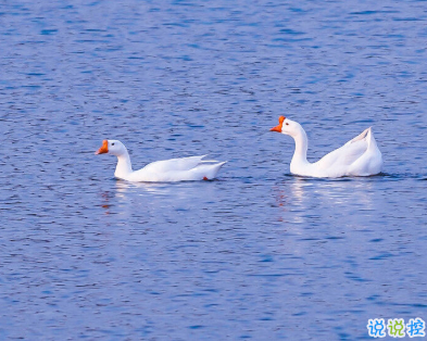 很高级很有质感的思恋文案带图片 高级表达自己思恋对方的句子4