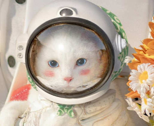 2021让人爆笑的经典搞笑幽默句子 值得收藏的宝藏文案2